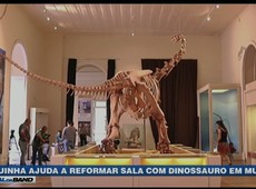 Vaquinha ajuda a reformar sala do Museu Nacional