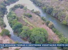 Grupos destroem vegetação perto do rio São Francisco