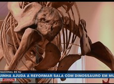 Vaquinha ajuda a reformar sala com dinossauro em museu