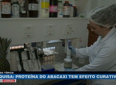 Pesquisa: Proteína do abacaxi tem efeito curativo