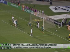 Santos e Verdão empatam no Pacaembu pelo Brasileiro