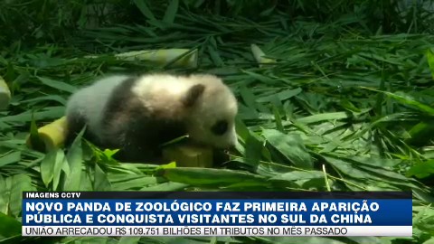 Canal Panda celebra o Carnaval no conforto de casa