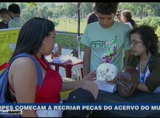 Pesquisadores recriam em 3D peças do Museu Nacional