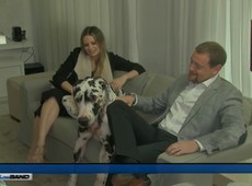 Ciência comprova que cães sentem ciúmes