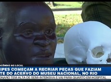 Equipes começa a recriar peças que faziam parte do acervo do Museu Nacional