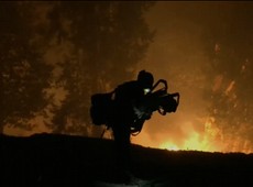 Número de mortos em incêndios florestais sobe para 31