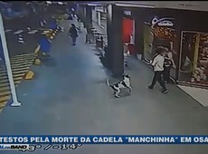 Morte de cachorro causa manifestação em Osasco
