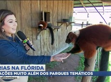 Agora é Domingo mostra destinos alternativos na Flórida