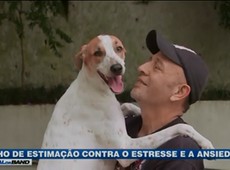 Animais de estimação ajudam contra estresse e ansiedade