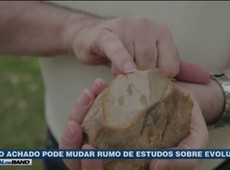 Novo achado pode mudar rumo de estudos sobre evolução