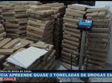 Polícia apreende quase três toneladas de maconha