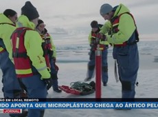 Estudo aponta que microplástico chega ao Ártico pelo ar