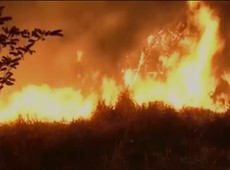 Incêndios na Amazônia, tempo seco favorece queimadas