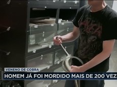 Homem recebe mordidas de cobra para aumentar imunidade