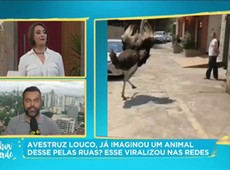 Vídeo de avestruz atacando pessoas viraliza na internet