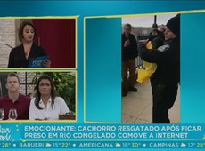 Cão é resgatado após ficar preso em lago congelado nos EUA
