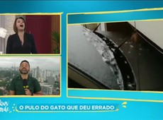 Bebês e gatinhos fofos são destaque na internet