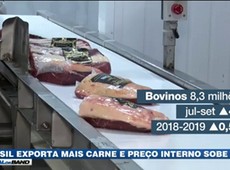 Brasil exporta mais carne e preço interno sobe