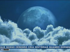 Cérebro cria sonhos para ajudar na sobrevivência