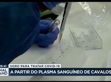 Soro para tratar Covid-19 pode vir do plasma dos cavalos