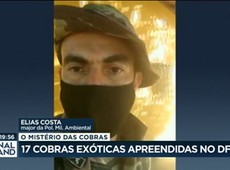 17 cobras exóticas apreendidas no DF