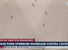 Dengue pode oferecer imunidade contra Covid-19