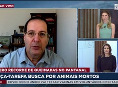Força-tarefa busca por animais mortos
