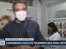 Veterinário a distância: Congresso discute telemedicina para pets