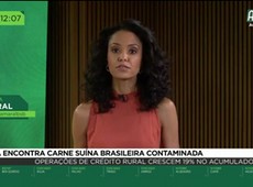 China encontra carne suína brasileira contaminada