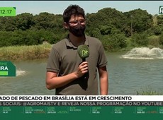 Mercado de pescado em Brasília está em crescimento