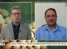 Mundo Soja: aveia preta e trigo aumentam produção de soja no Sul