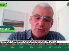 Angus doados à EMBRAPA vão ajudar pecuaristas do sul do Brasil