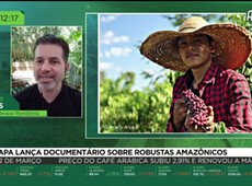 Embrapa lança documentário sobre robustas amazônicos