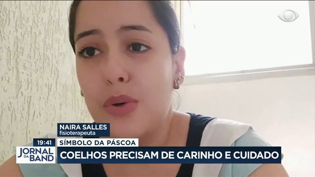 Símbolo da Páscoa, coelhos exigem cuidado e carinho Reprodução TV