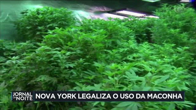 Estado de Nova York legaliza o uso recreativo da maconha Reprodução TV