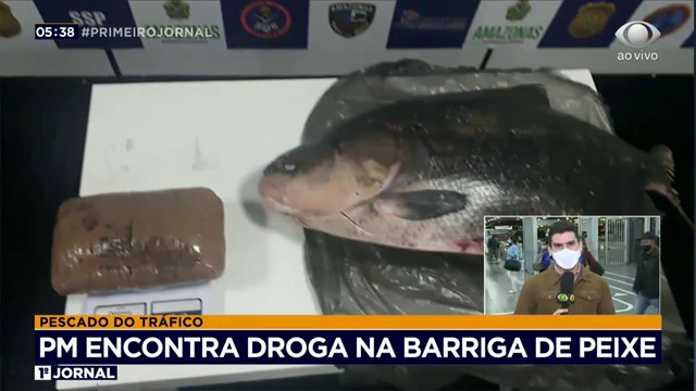 Polícia encontra droga na barriga de peixe Reprodução TV