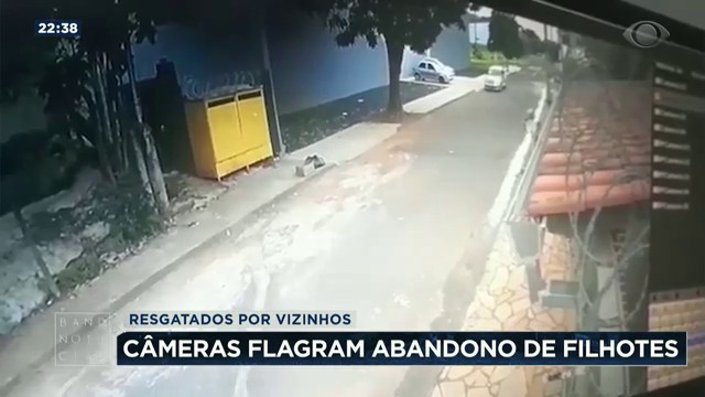 Câmeras flagram abandono de filhotes Reprodução TV