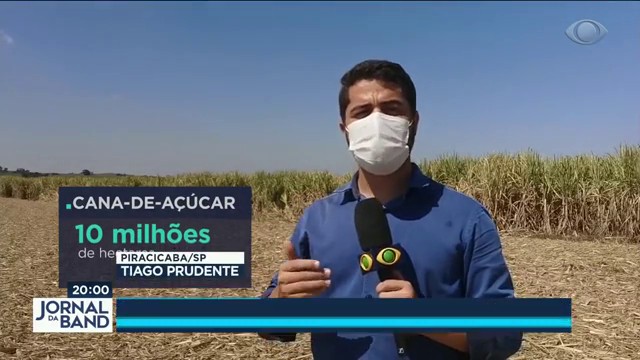 Cana-de-açúcar: sustentabilidade e emprego no campo Reprodução TV