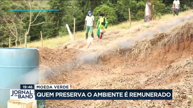 Moeda Verde: projeto já plantou 2 milhões de árvores Reprodução TV