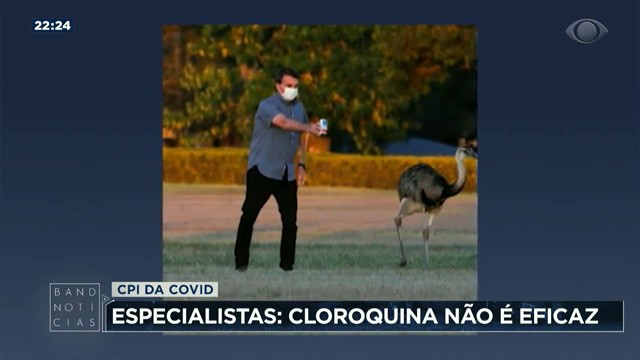 CPI da Covid ouve depoimento de especialistas em saúde Reprodução TV