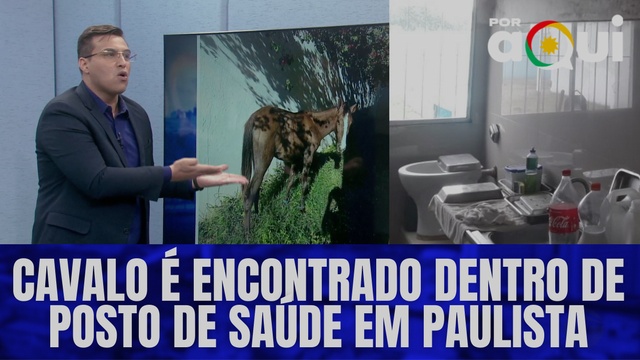 Cavalo é encontrado dentro de posto de saúde em Paulista