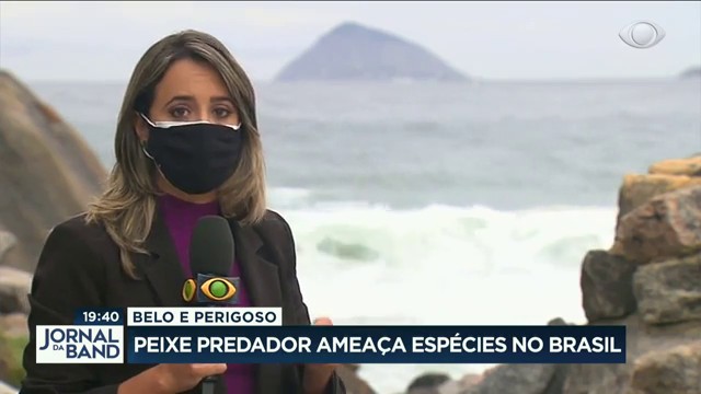 Peixe predador ameaça espécies no Brasil Reprodução TV