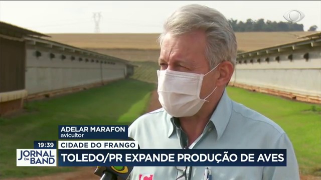 Paraná expande produção de aves  Reprodução TV