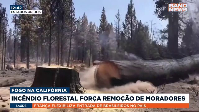 Incêndio florestal força remoção de moradores