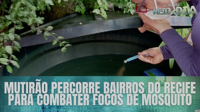Mutirão percorre bairros do Recife para combater focos de mosquito