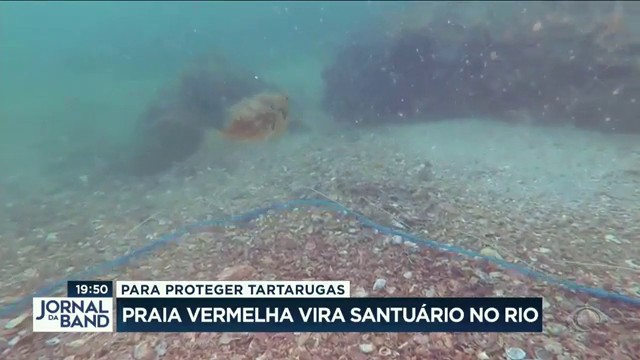 Praia vermelha vira santuário no Rio Reprodução TV