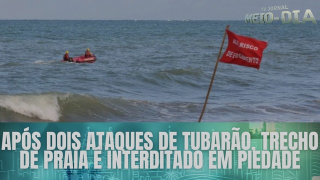 Após dois ataques de tubarão, trecho de praia é interditado em Piedade