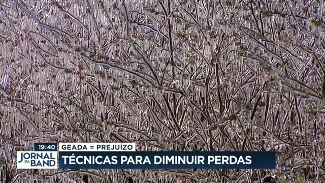 Técnicas para diminuir prejuízo dos agricultores Reprodução TV