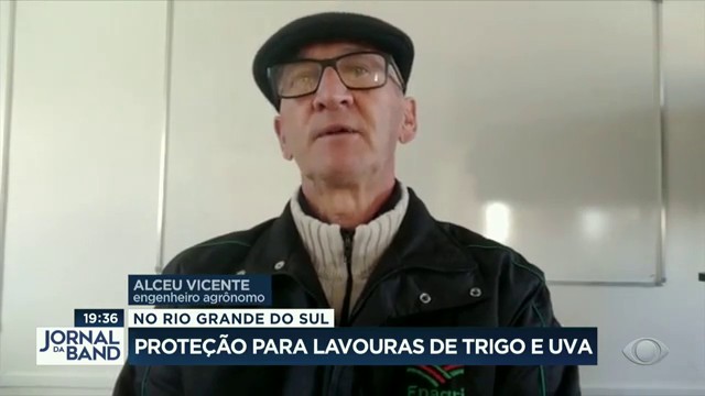 Frio: culturas de inverno aguentam, mas café deve ter perda de 30% Reprodução TV