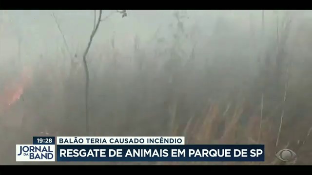 Fogo em parque estadual de SP é controlado Reprodução TV